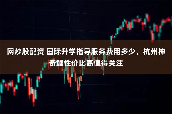 网炒股配资 国际升学指导服务费用多少，杭州神奇鲤性价比高值得关注