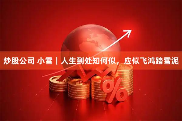 炒股公司 小雪｜人生到处知何似，应似飞鸿踏雪泥